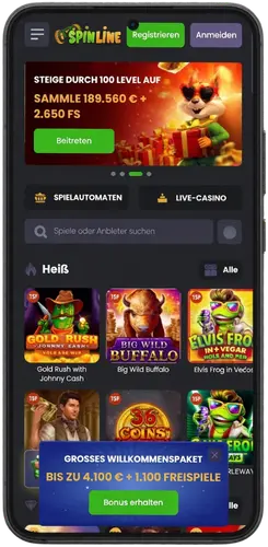 Casino‑Website besuchen